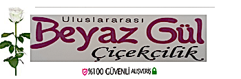 Beyazgül Çiçekçilik-Adapazarı Çiçek Siparişi-0530 821 80 67