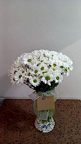 vazoda papatya