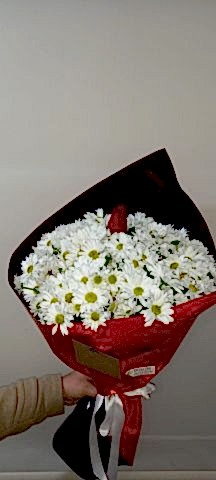 beyaz papatya buketi