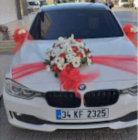 Araç Süsü - 01